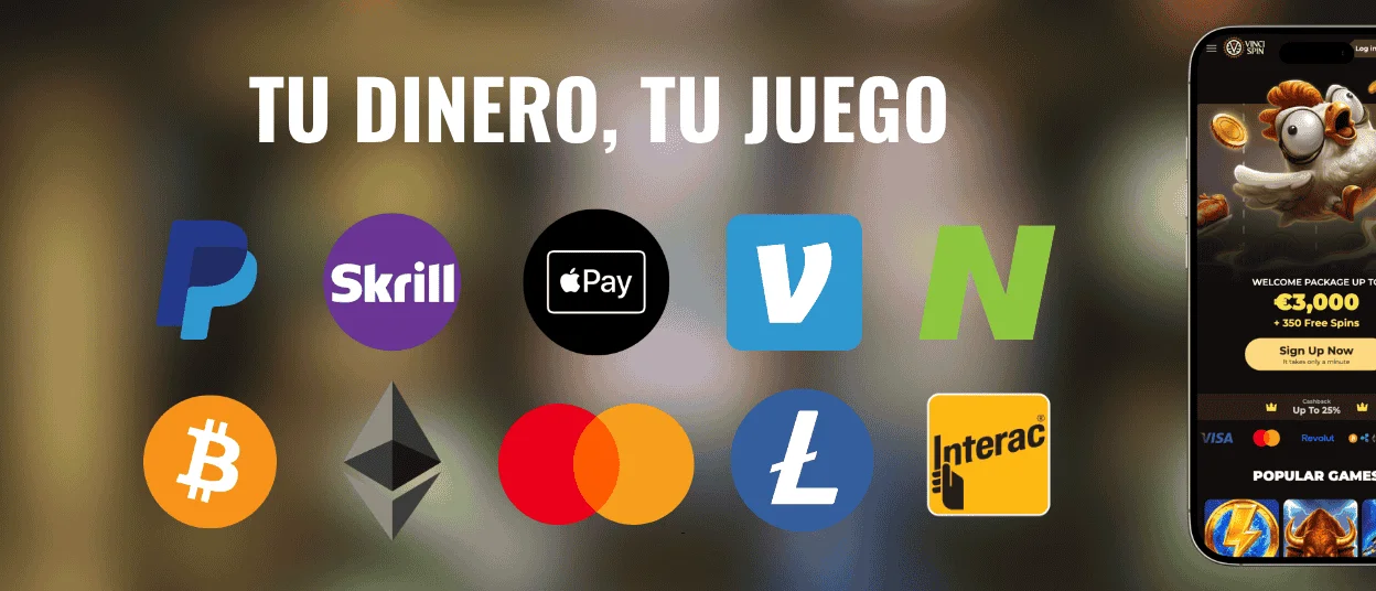 Vincispin payments